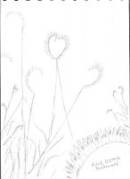 Grass of Hearts